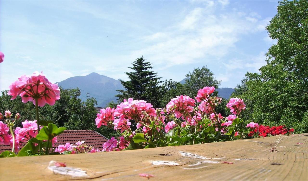 Fetznhof-Zuhaus Villa Grassau  Buitenkant foto